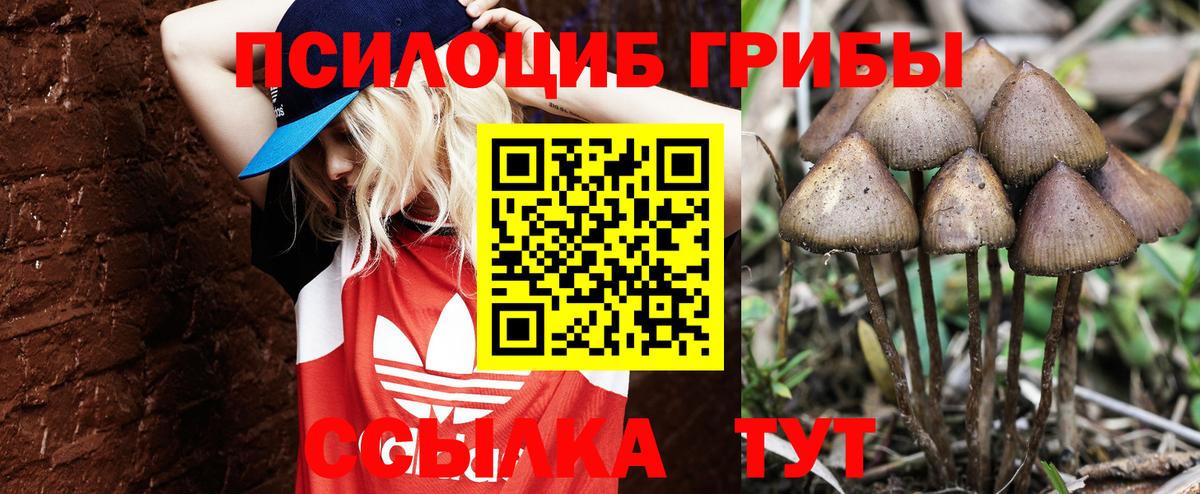 как найти   Вход с VPN  Аксай  Псилоцибиновые грибы мухоморы  Галлюциногенные грибы мицелий 